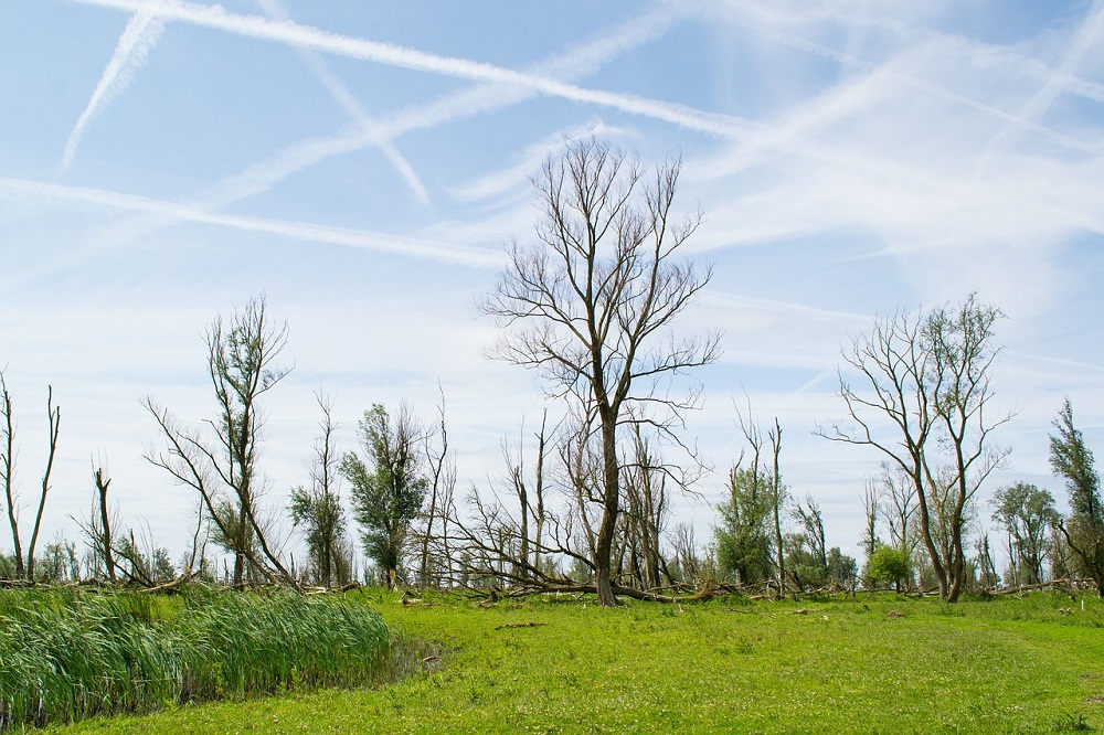 BBB wil nieuwe stad met 300.000 woningen in Oostvaardersplassen