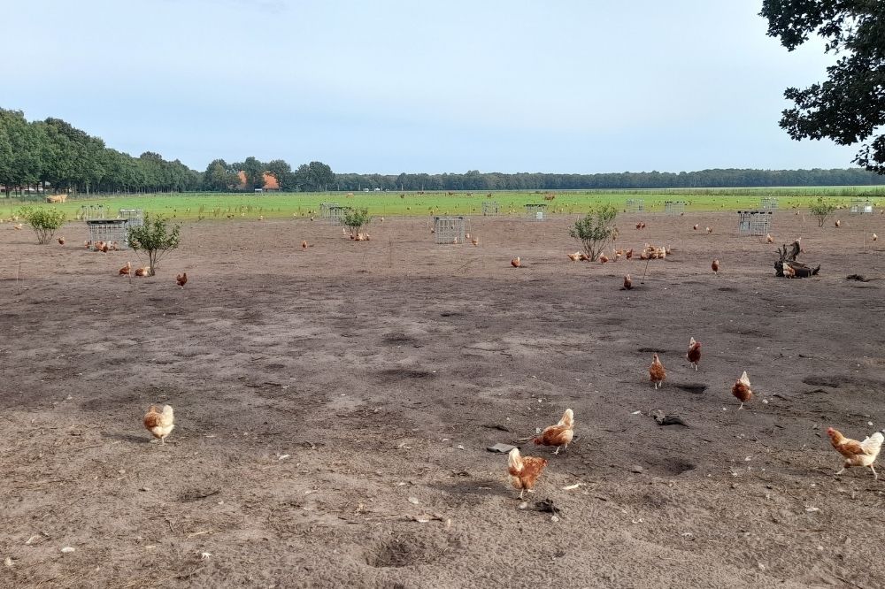 “We besparen minimaal €3.000,- per jaar op chemicaliën”