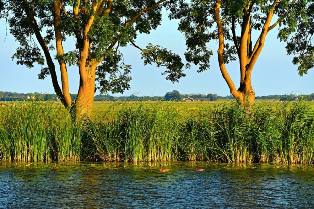 Goede natuur en goed natuurbeleid ook een boerenbelang