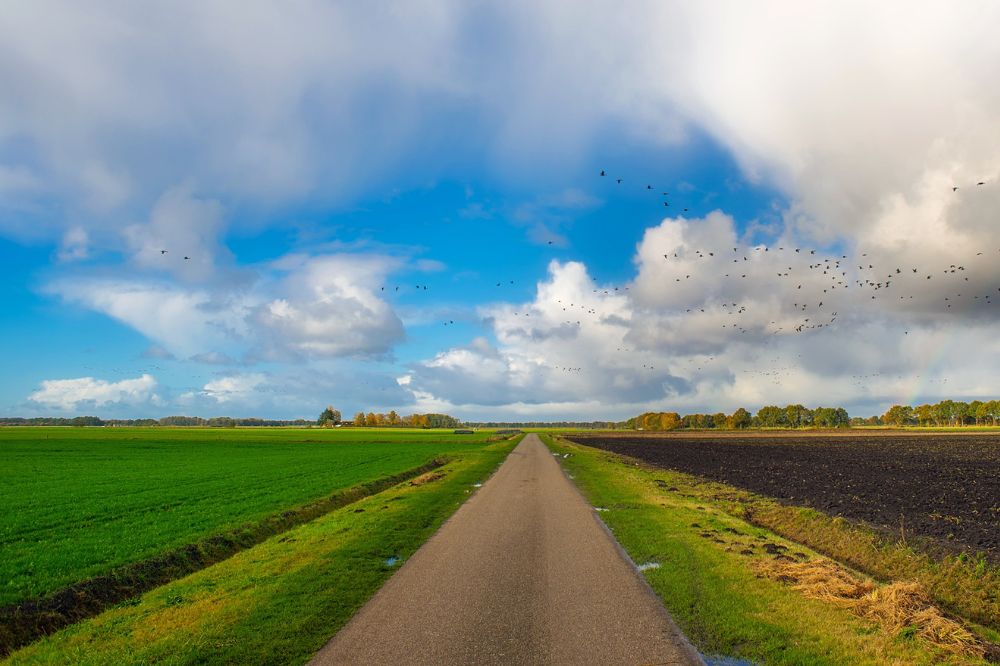 Aantal grote landbouwbedrijven neemt toe