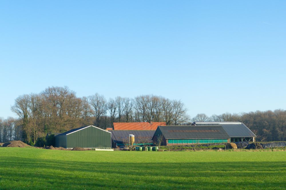 Reactie LTO op het Regeerprogramma: 'duidelijke koers uitgezet'