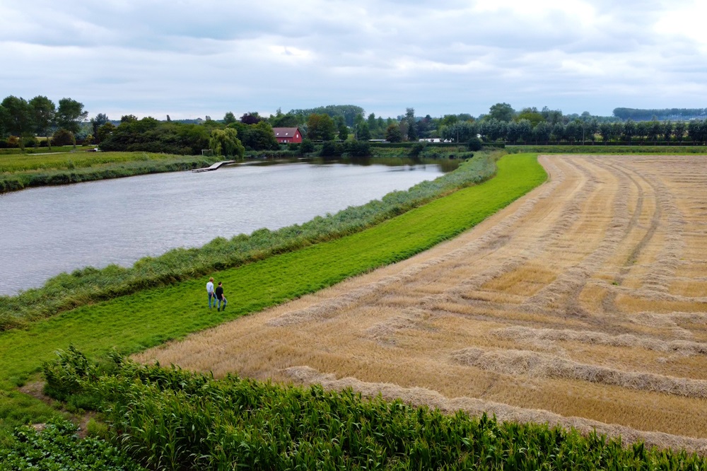 Nieuwe mestmaatregelen vanaf 2025: wat betekent dit voor de landbouwer? 